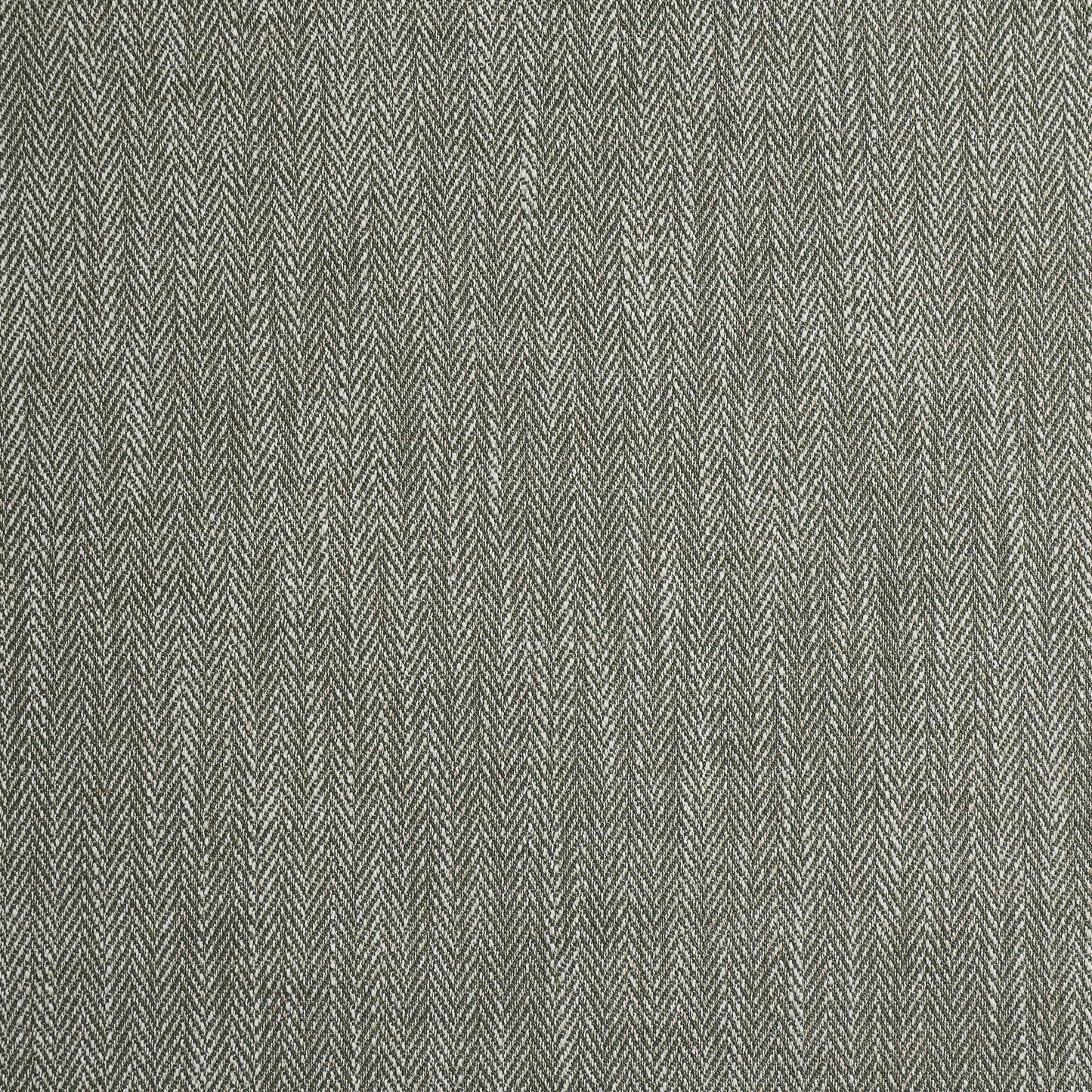 Ashley Wilde Aubrey Rosemary