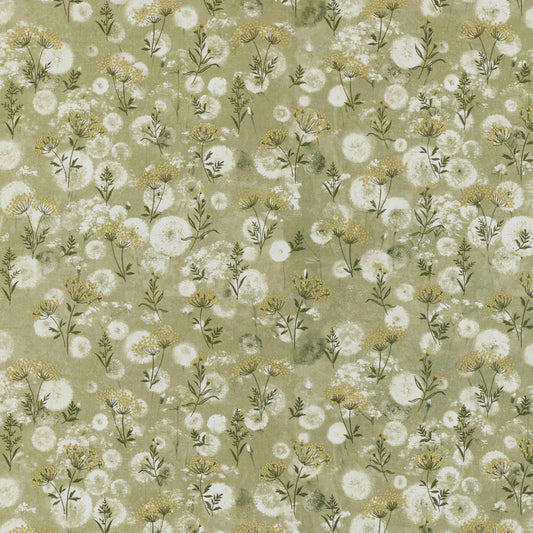 Ashley Wilde Aurora Ivy