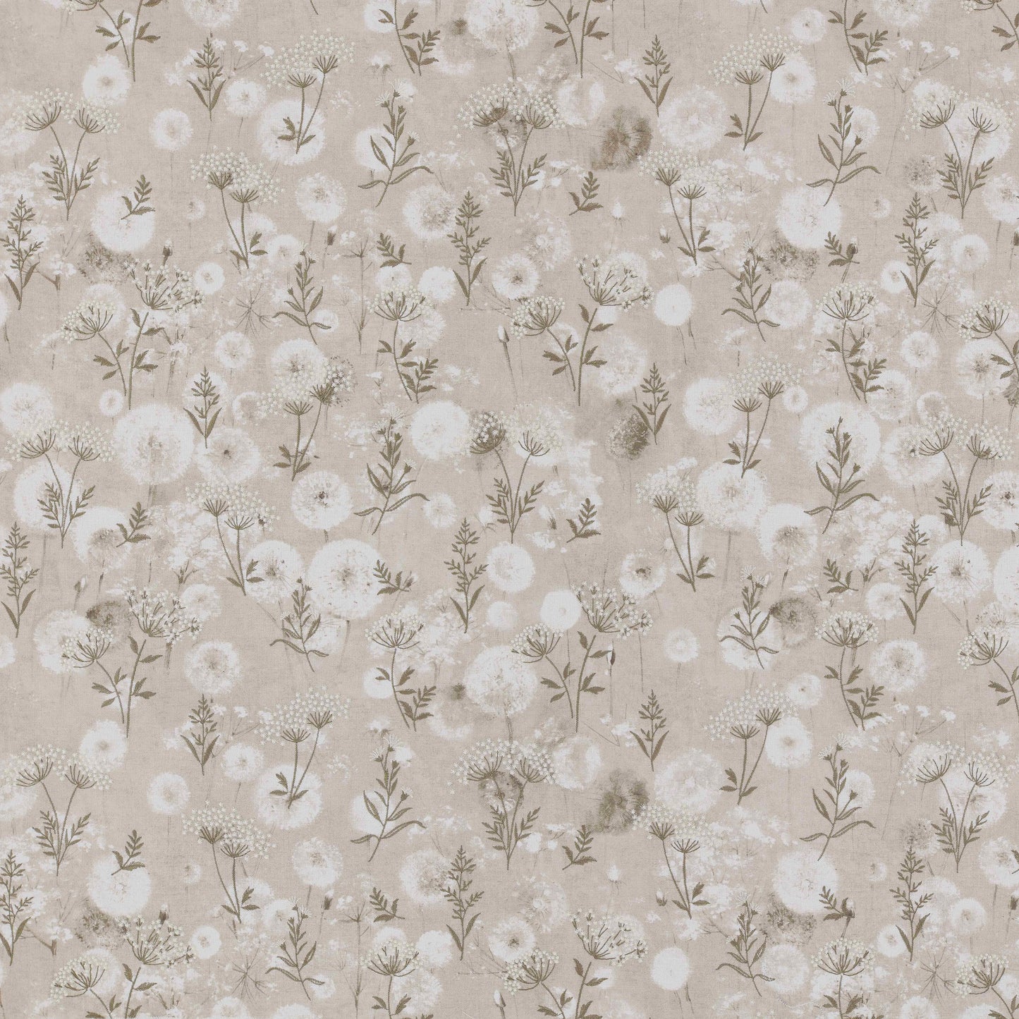 Ashley Wilde Aurora Oyster