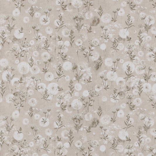 Ashley Wilde Aurora Oyster