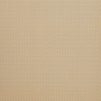 iLiv Aztec Ochre
