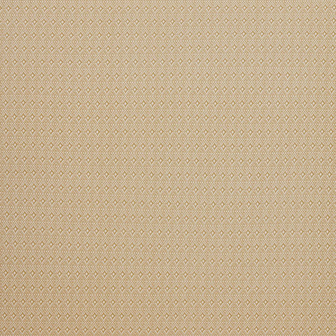 iLiv Aztec Ochre