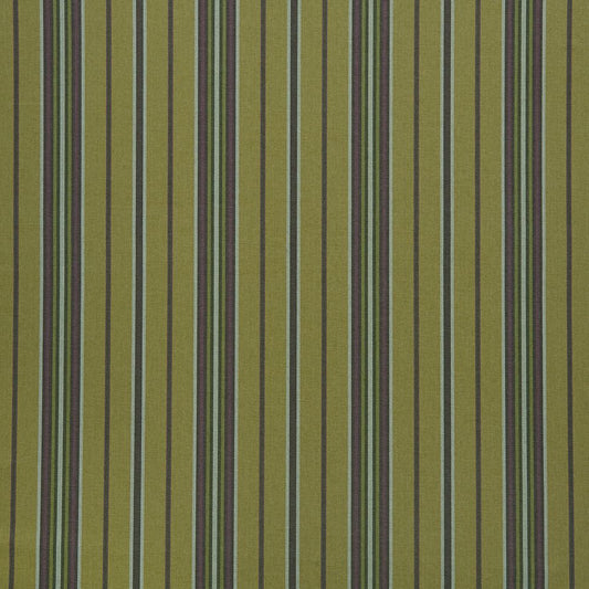 iLiv Ballater Pistachio