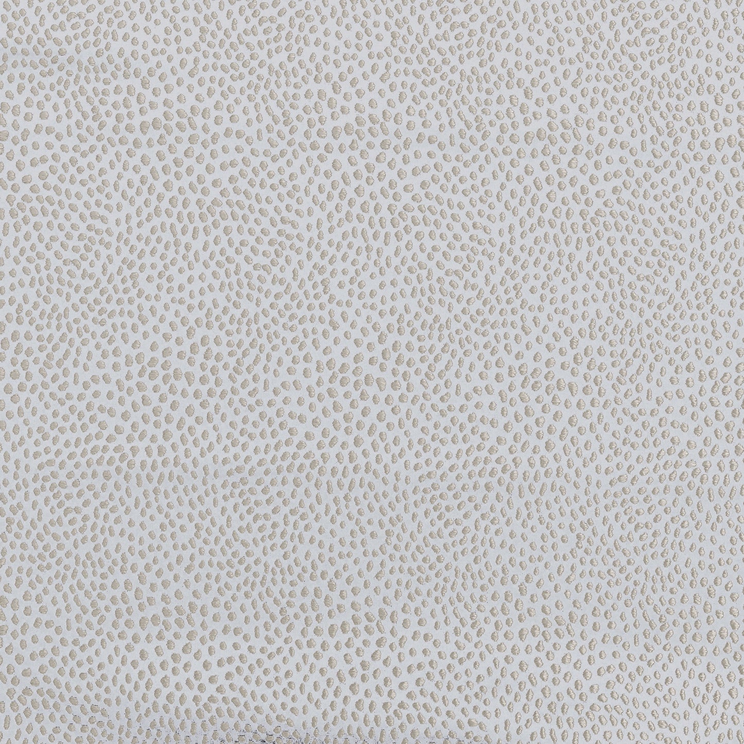 Ashley Wilde Blean Dove