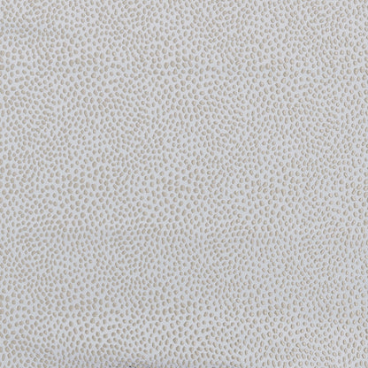 Ashley Wilde Blean Dove