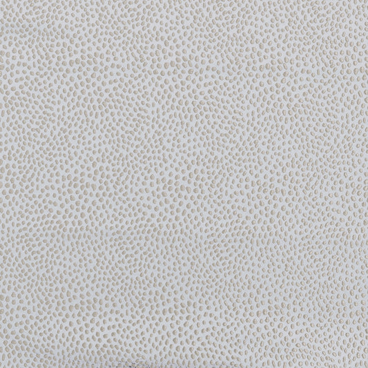 Ashley Wilde Blean Dove