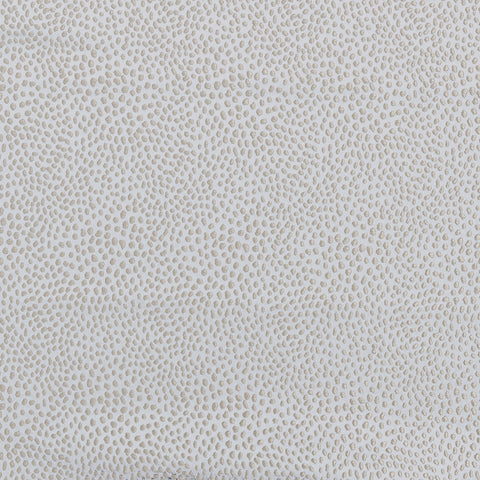 Ashley Wilde Blean Dove