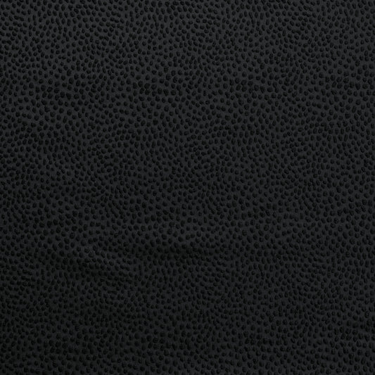 Ashley Wilde Blean Ebony