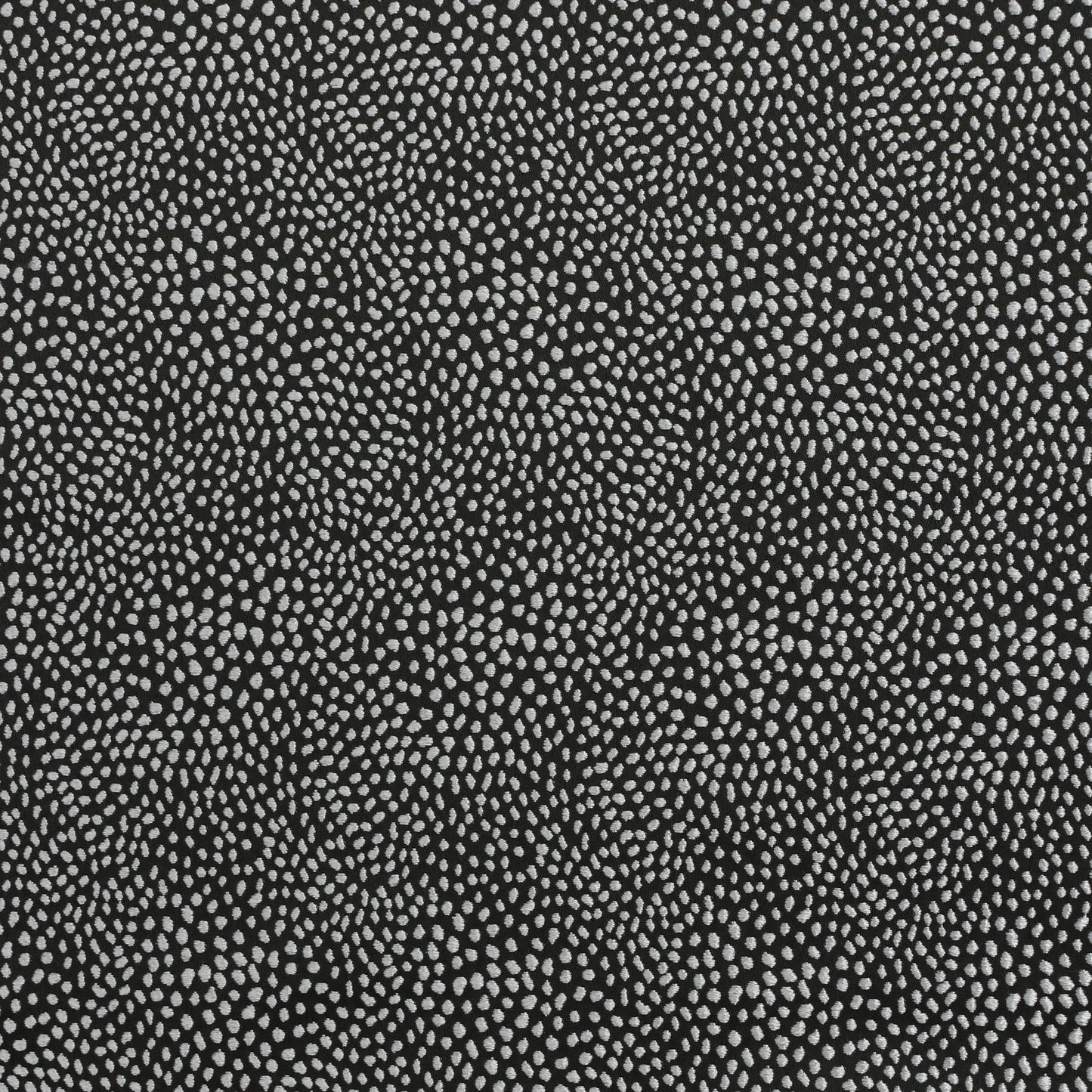 Ashley Wilde Blean Grey