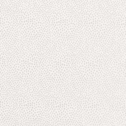 Ashley Wilde Blean Ivory