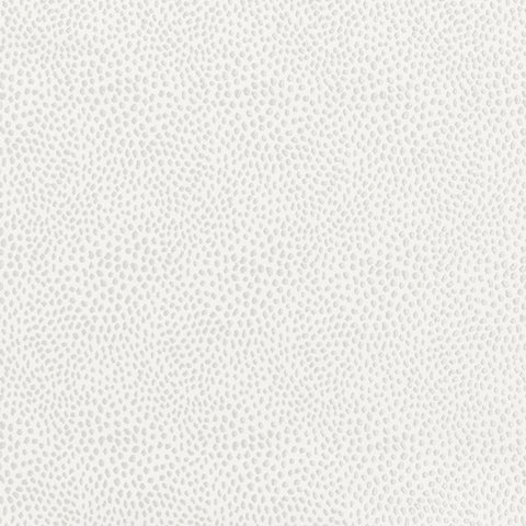 Ashley Wilde Blean Ivory