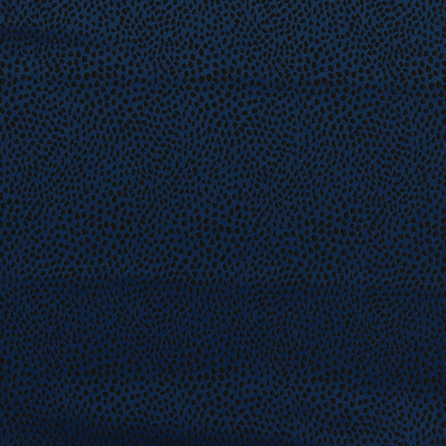 Ashley Wilde Blean Midnight