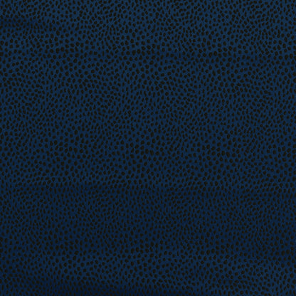 Ashley Wilde Blean Midnight