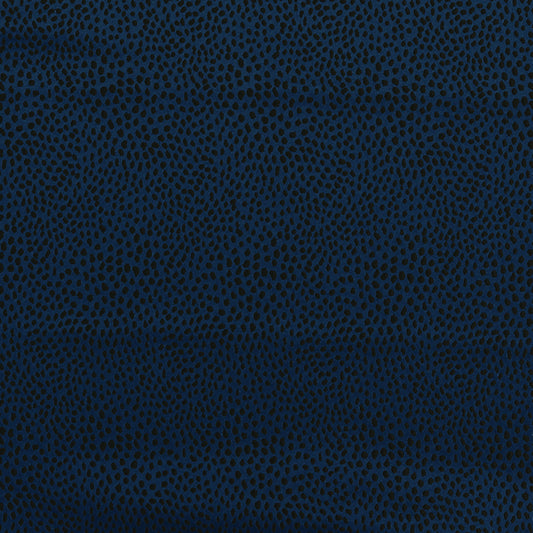 Ashley Wilde Blean Midnight