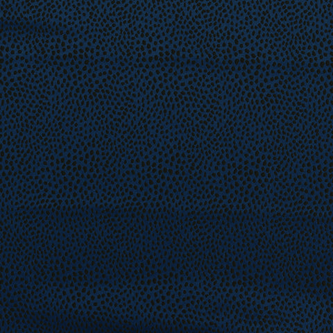 Ashley Wilde Blean Midnight