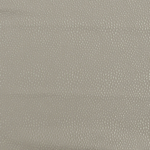 Ashley Wilde Blean Taupe