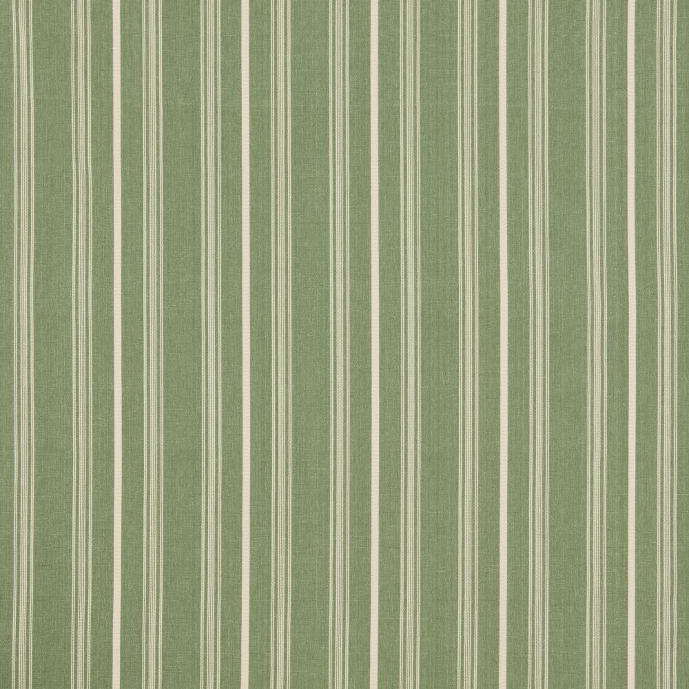 iLiv Breton Thyme