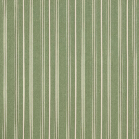 iLiv Breton Thyme
