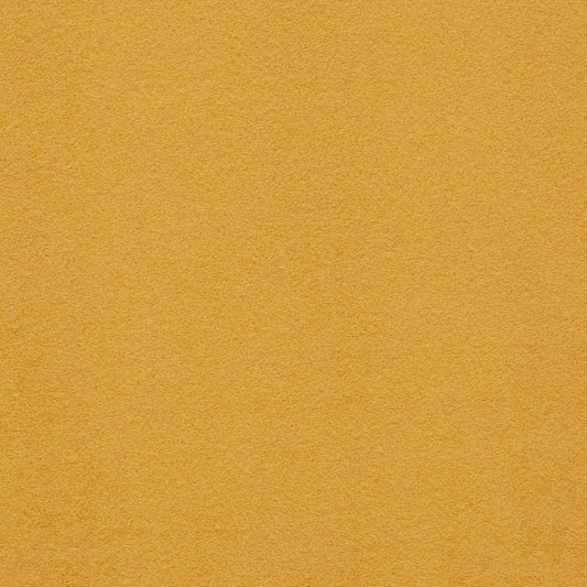 iLiv Carwyn Butterscotch