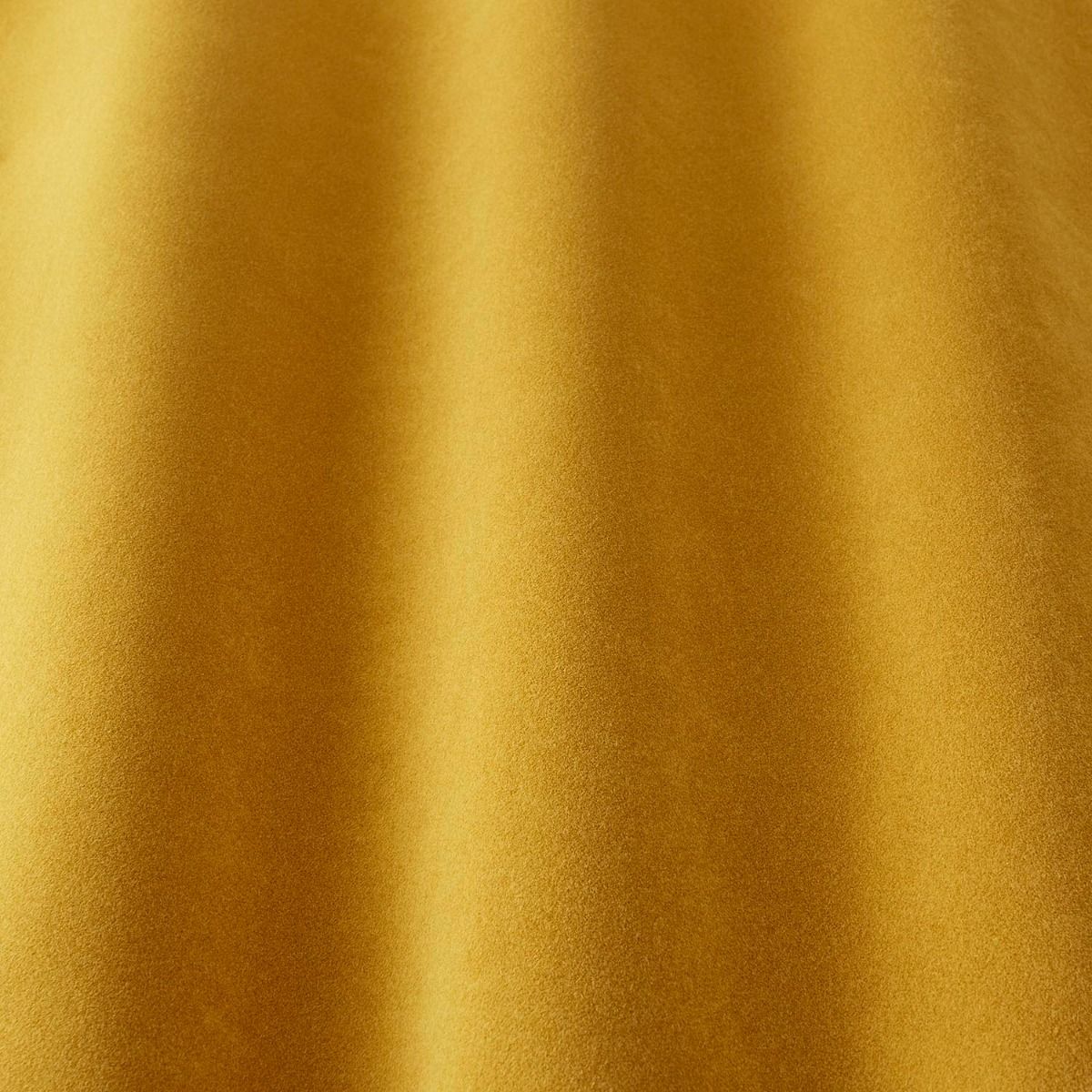 iLiv Carwyn Butterscotch