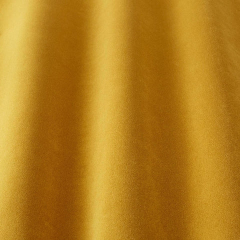 iLiv Carwyn Butterscotch