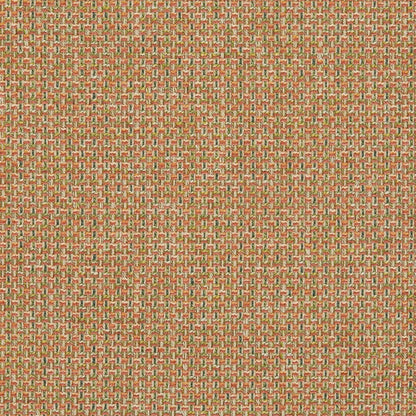 iLiv Cassiano Auburn