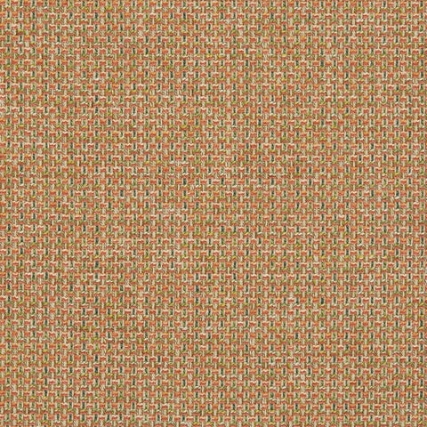 iLiv Cassiano Auburn