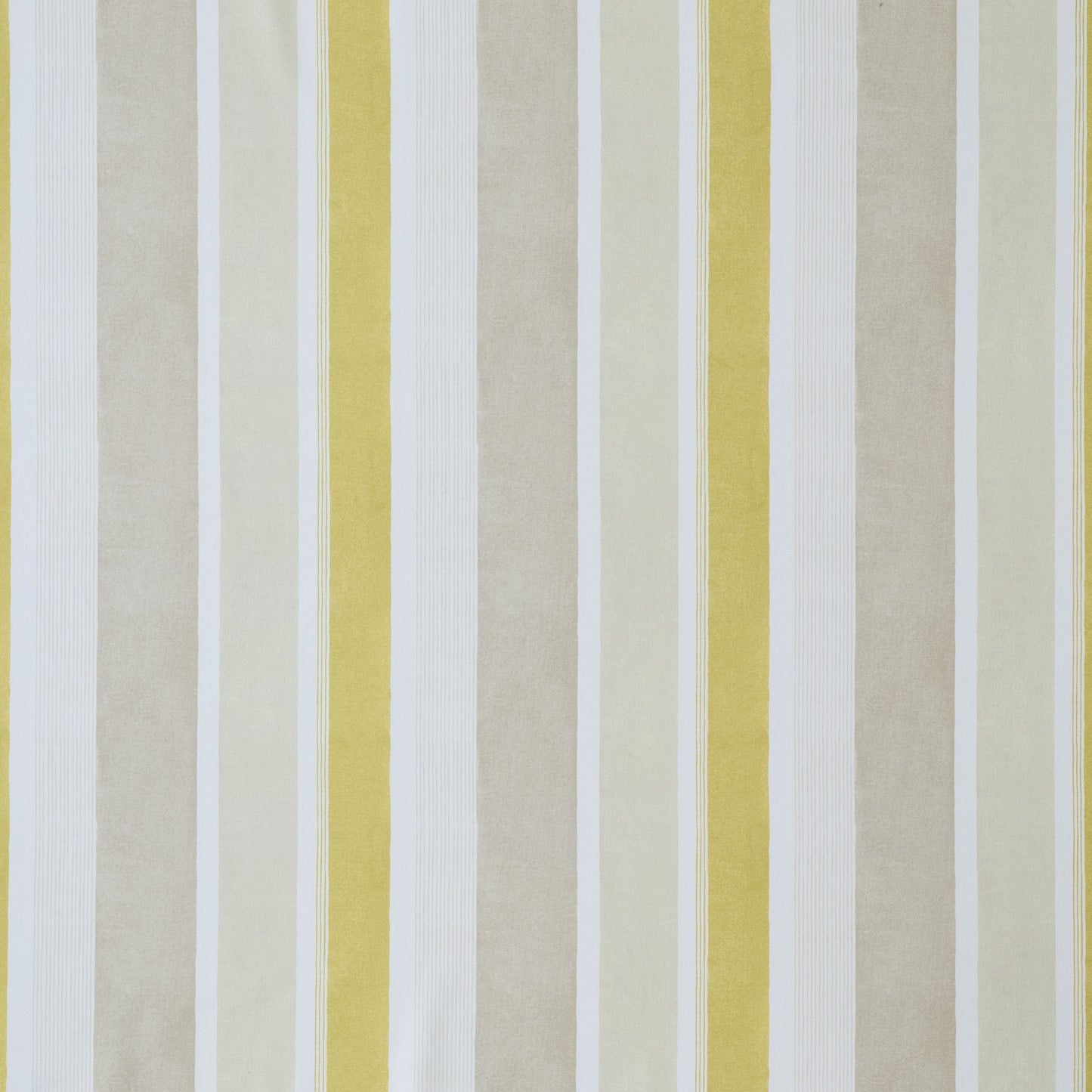 Ashley Wilde Celia Maize