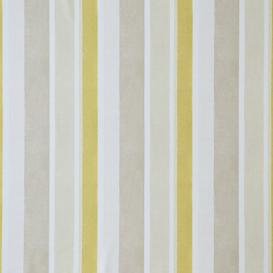 Ashley Wilde Celia Maize