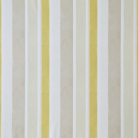 Ashley Wilde Celia Maize