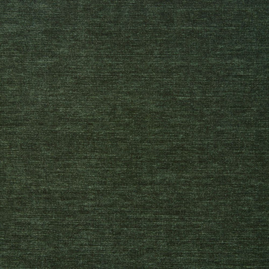 iLiv Chicago Evergreen