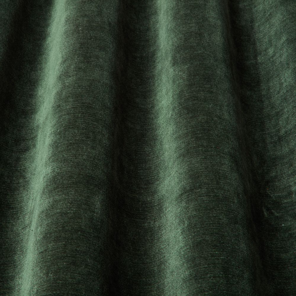 iLiv Chicago Evergreen