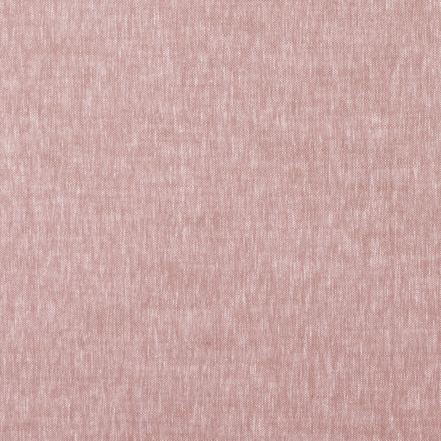 Ashley Wilde Christie Blush
