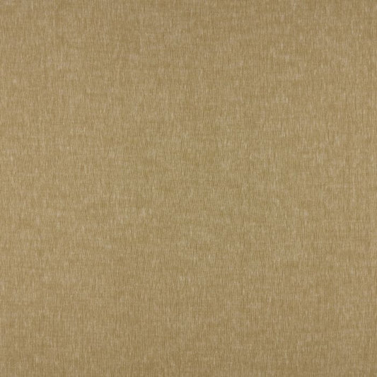 Ashley Wilde Christie Maize