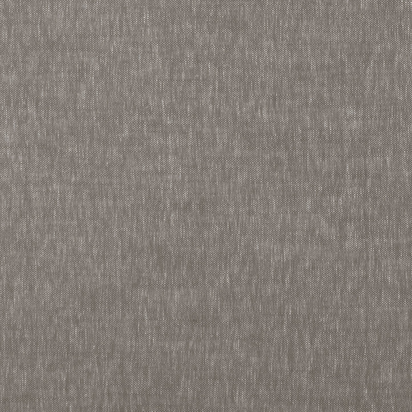 Ashley Wilde Christie Porcini