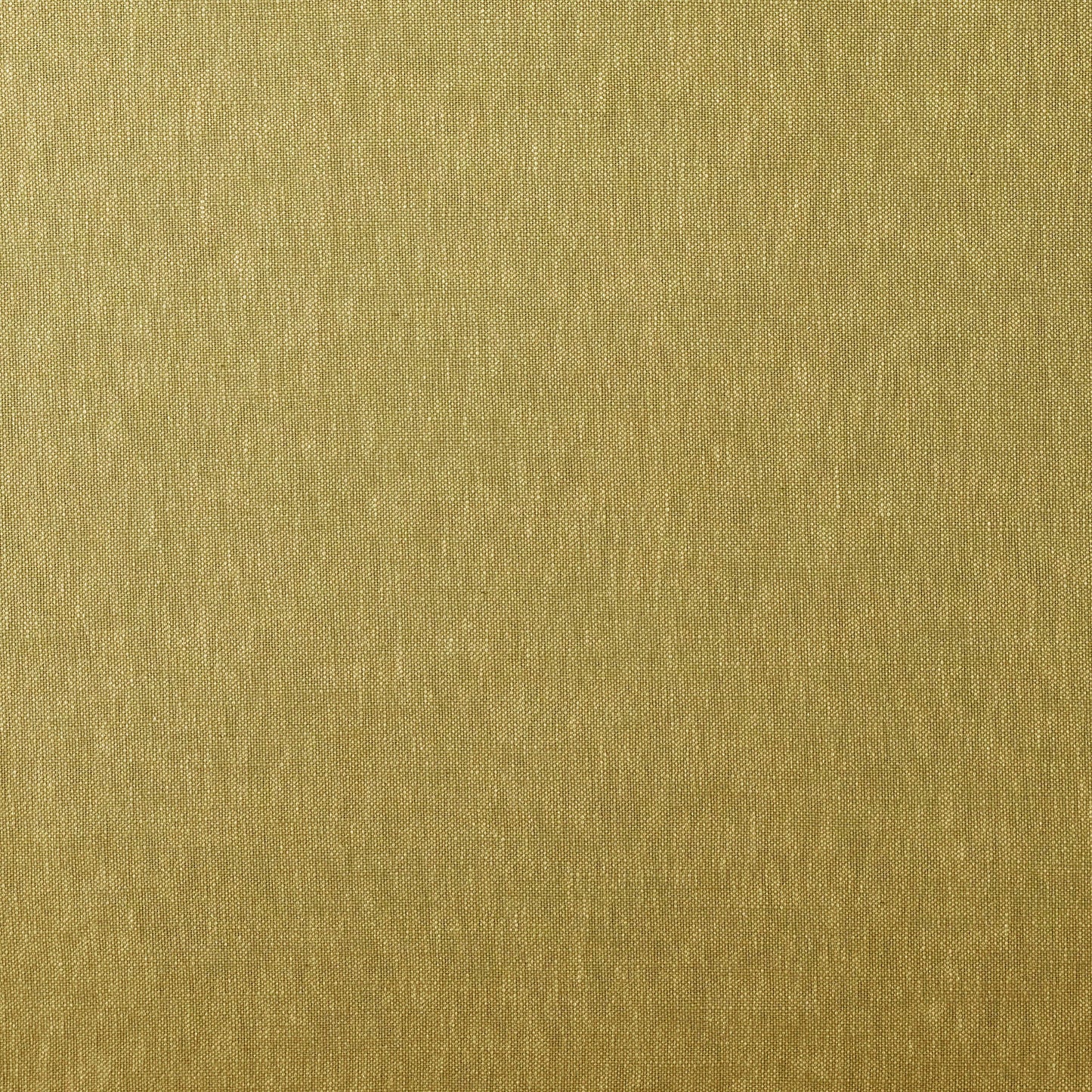 Ashley Wilde Christie Tumeric