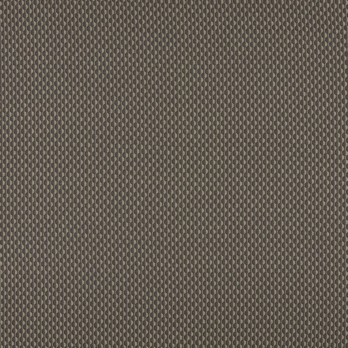 Ashley Wilde Collier Noir