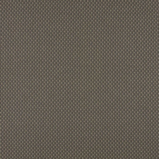 Ashley Wilde Collier Noir