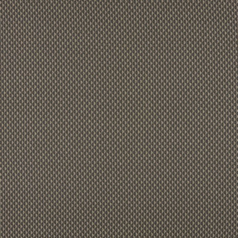 Ashley Wilde Collier Noir