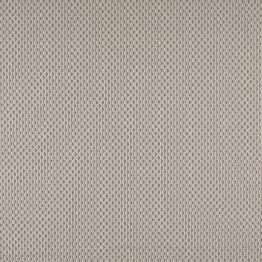 Ashley Wilde Collier Porcini