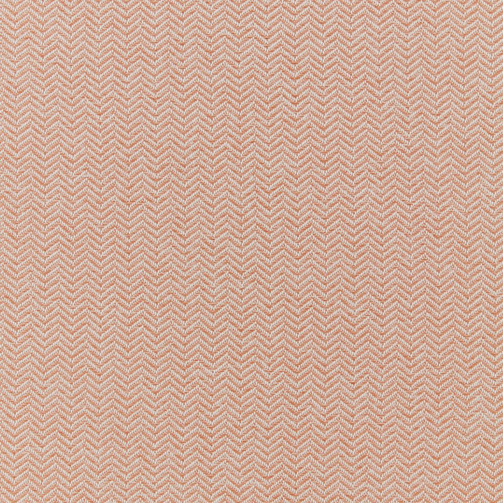 iLiv Conway Coral