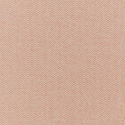 iLiv Conway Coral