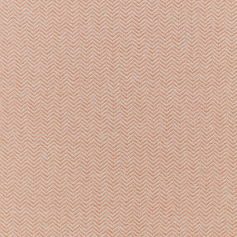 iLiv Conway Coral
