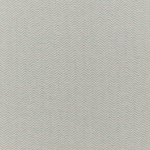 iLiv Conway Duck Egg