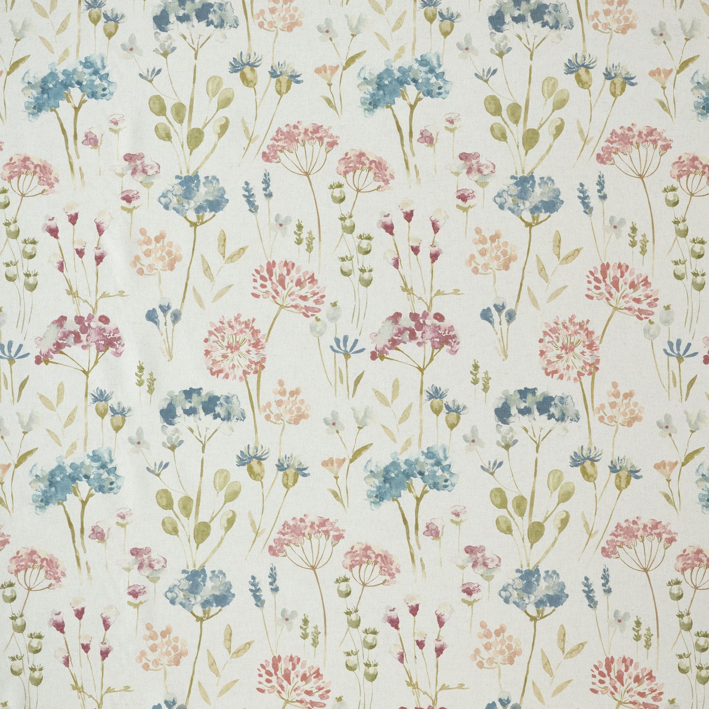 Ashley Wilde Daphne Peony