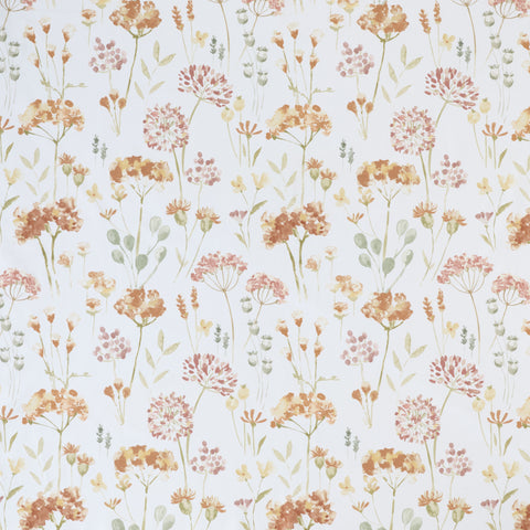 Ashley Wilde Daphne Sienna