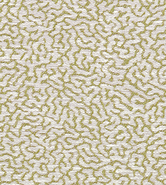Scion Duckweed Weave Lawn