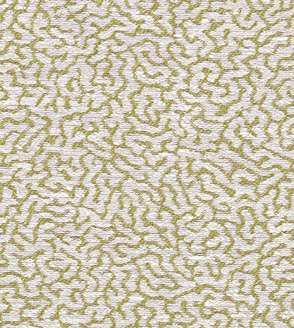 Scion Duckweed Weave Lawn