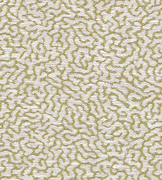 Scion Duckweed Weave Lawn
