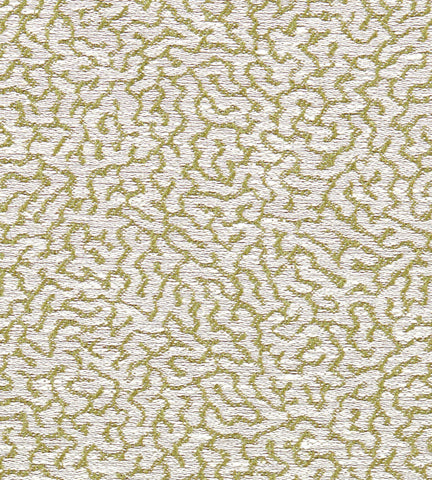 Scion Duckweed Weave Lawn